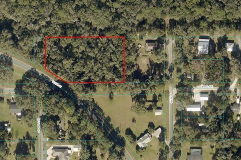 Land in Dunnellon, Florida № 1296180 - photo 1