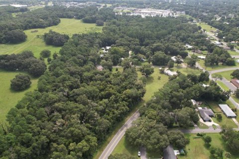 Terreno en venta en Dunnellon, Florida № 1296180 - foto 9