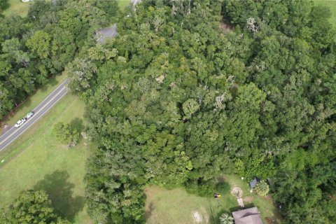 Terrain à vendre à Dunnellon, Floride № 1296180 - photo 7