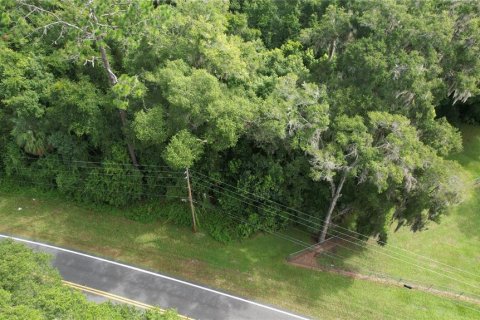 Terrain à vendre à Dunnellon, Floride № 1296180 - photo 5