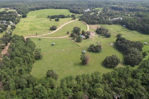 Terreno en venta en Dunnellon, Florida № 1296180 - foto 10