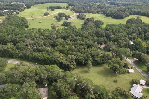 Terrain à vendre à Dunnellon, Floride № 1296180 - photo 8