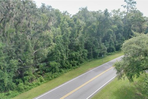 Terrain à vendre à Dunnellon, Floride № 1296180 - photo 4