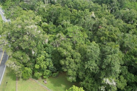 Terrain à vendre à Dunnellon, Floride № 1296180 - photo 6