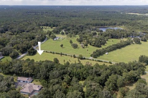 Terreno en venta en Brooksville, Florida № 1340908 - foto 4