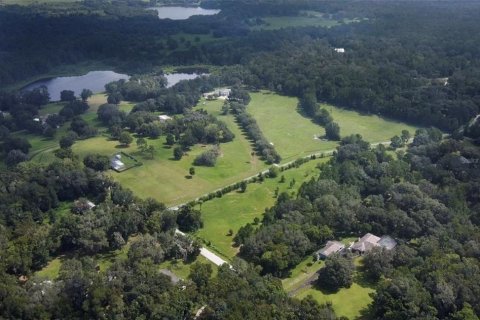 Land in Brooksville, Florida № 1340908 - photo 6