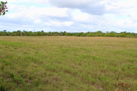 Propiedad comercial en alquiler en Indiantown, Florida № 919672 - foto 12