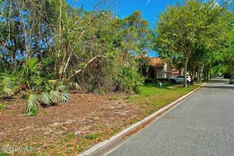 Купить земельный участок в Палм-Кост, Флорида № 766464 - фото 21