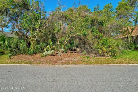 Купить земельный участок в Палм-Кост, Флорида № 766464 - фото 20