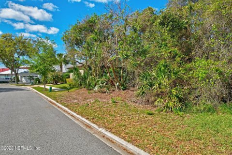 Купить земельный участок в Палм-Кост, Флорида № 766464 - фото 22