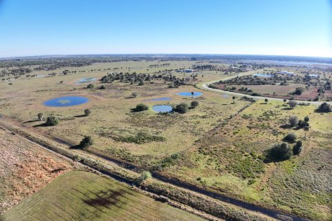 Land in Okeechobee, Florida № 1185195 - photo 7