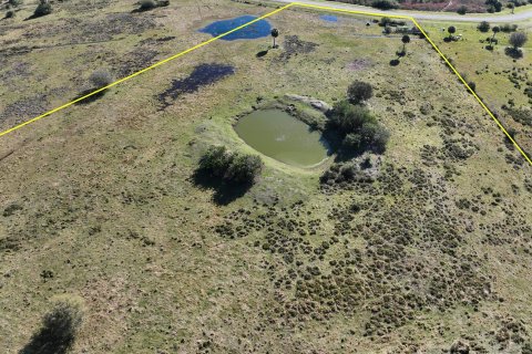 Land in Okeechobee, Florida № 1185195 - photo 6