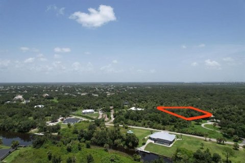 Terreno en venta en Punta Gorda, Florida № 1306829 - foto 6