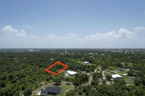 Land in Punta Gorda, Florida № 1306829 - photo 23