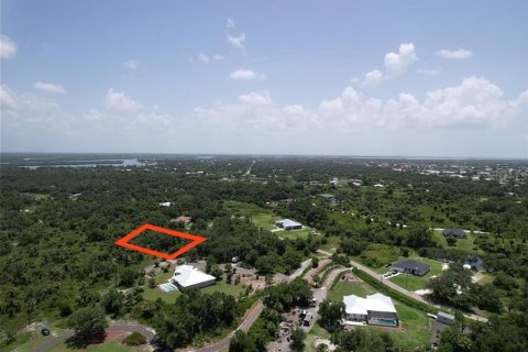 Terreno en venta en Punta Gorda, Florida № 1306829 - foto 13