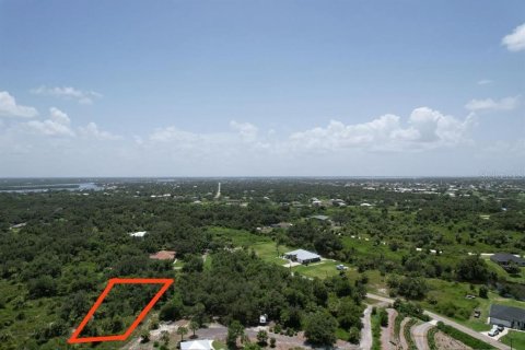 Terreno en venta en Punta Gorda, Florida № 1306829 - foto 10