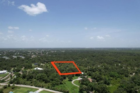 Terreno en venta en Punta Gorda, Florida № 1306829 - foto 29