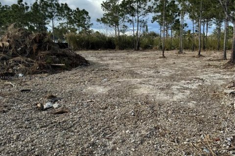 Terrain à vendre à Goulds, Floride № 998329 - photo 3