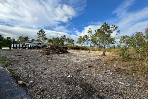 Купить земельный участок в Гулдс, Флорида № 998329 - фото 7