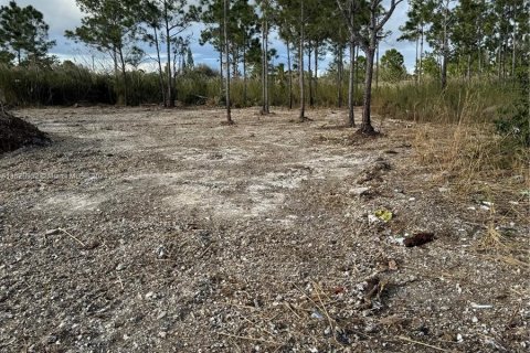 Купить земельный участок в Гулдс, Флорида № 998329 - фото 1