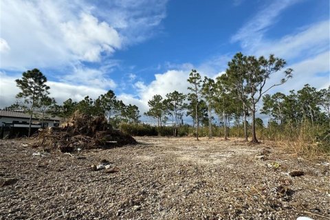 Купить земельный участок в Гулдс, Флорида № 998329 - фото 4
