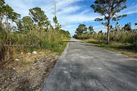 Terrain à vendre à Goulds, Floride № 998329 - photo 6