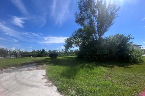 Terreno en venta en Punta Gorda, Florida № 1361558 - foto 11