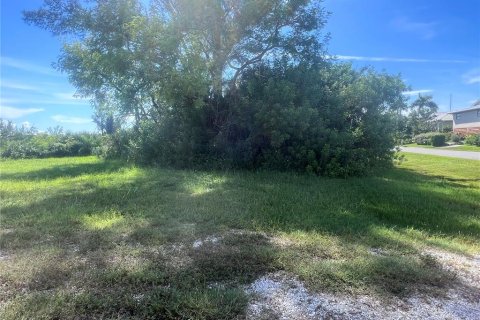 Land in Punta Gorda, Florida № 1361558 - photo 6