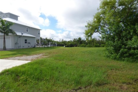 Terreno en venta en Punta Gorda, Florida № 1361558 - foto 12