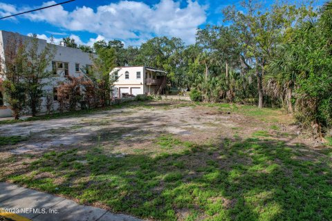 Land in Saint Augustine, Florida № 766607 - photo 11