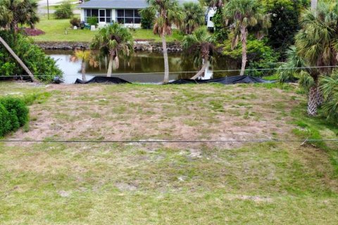 Land in Punta Gorda, Florida № 1104897 - photo 2