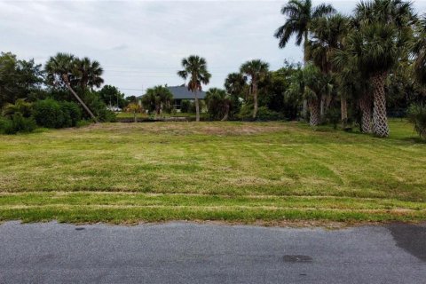 Terrain à vendre à Punta Gorda, Floride № 1104897 - photo 3