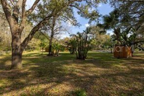 Купить земельный участок в Лутц, Флорида № 1109524 - фото 7