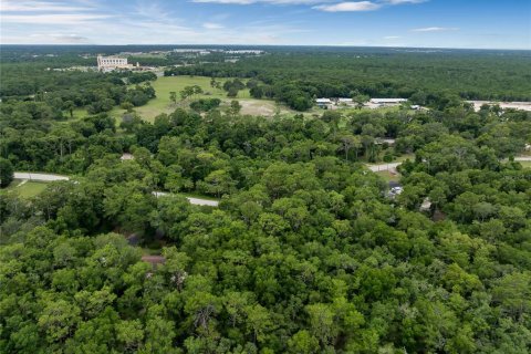 Land in DeLand, Florida № 1245125 - photo 7