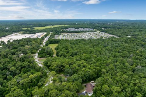 Land in DeLand, Florida № 1245125 - photo 10