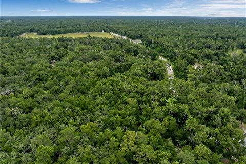 Terreno en venta en DeLand, Florida № 1245125 - foto 11