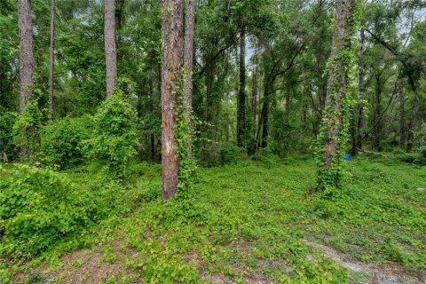 Terreno en venta en DeLand, Florida № 1245125 - foto 6