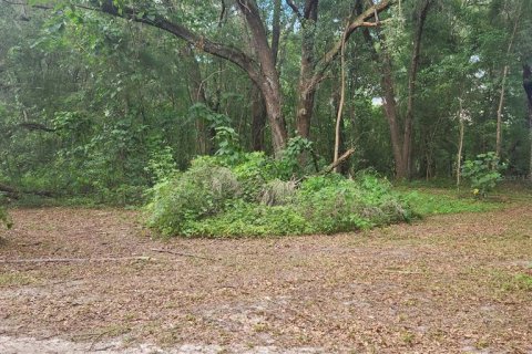 Terreno en venta en Ocala, Florida № 1285681 - foto 2