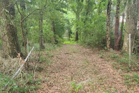 Terrain à vendre à Ocala, Floride № 1285681 - photo 3