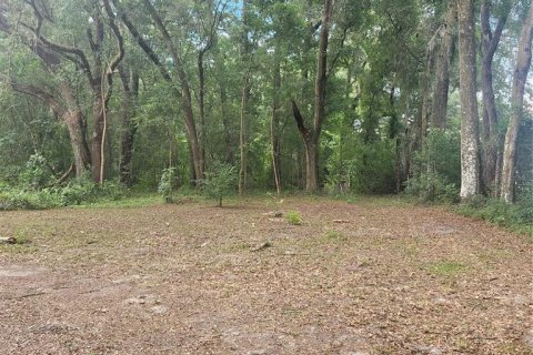 Terreno en venta en Ocala, Florida № 1285681 - foto 5