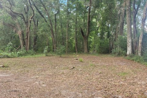 Land in Ocala, Florida № 1285681 - photo 1