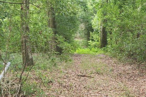 Terrain à vendre à Ocala, Floride № 1285681 - photo 4