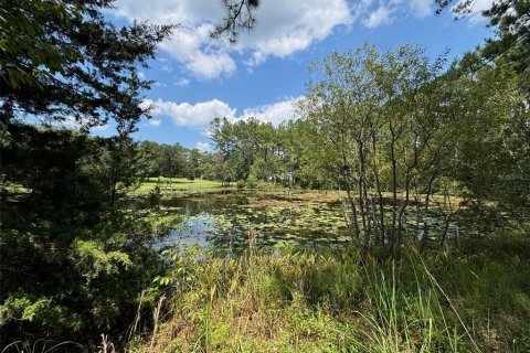 Land in Earleton, Florida № 1325050 - photo 9