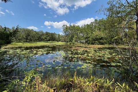 Land in Earleton, Florida № 1325050 - photo 1