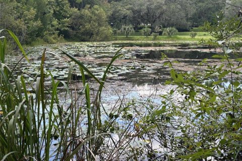 Land in Earleton, Florida № 1325050 - photo 4